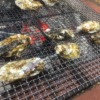 徳島県で牡蠣食べ放題ができるお店まとめ4選